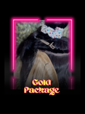 Gold Package